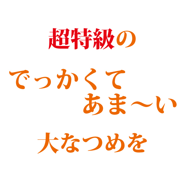 ドライフルーツ 無添加 砂糖不使用 なつめ 500g 薬膳 棗 ナツメ 大なつめ 大棗 オーガニック 葉酸 鉄分 カリウム カルシウム ミネラル  長寿薬膳堂 :YK-NTM500g:長寿薬膳堂 - 通販 - Yahoo!ショッピング