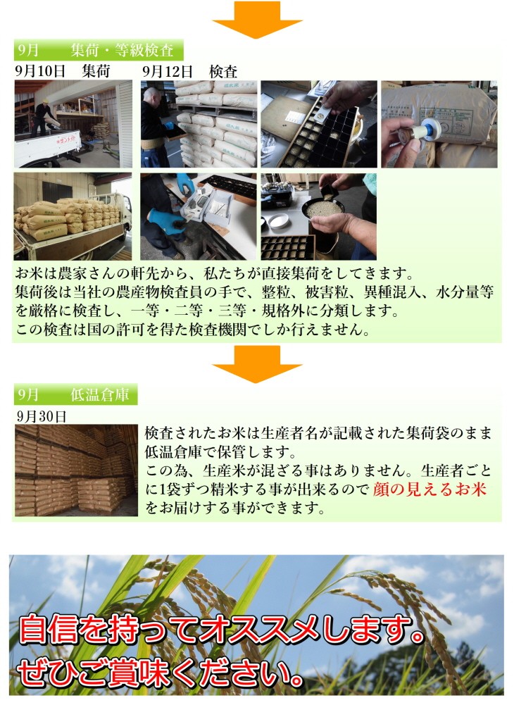 新米 24kg 送料無料 コシヒカリ 令和5年産 栃木県産 玄米 一等米 14時