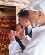 山の果樹園