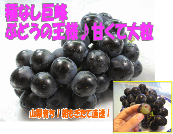 巨峰ぶどう