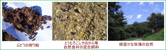 ワインビーフの飼料と牧場の自然
