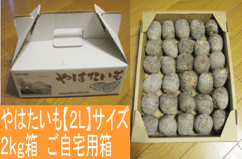 やはたいも　２Ｌサイズ