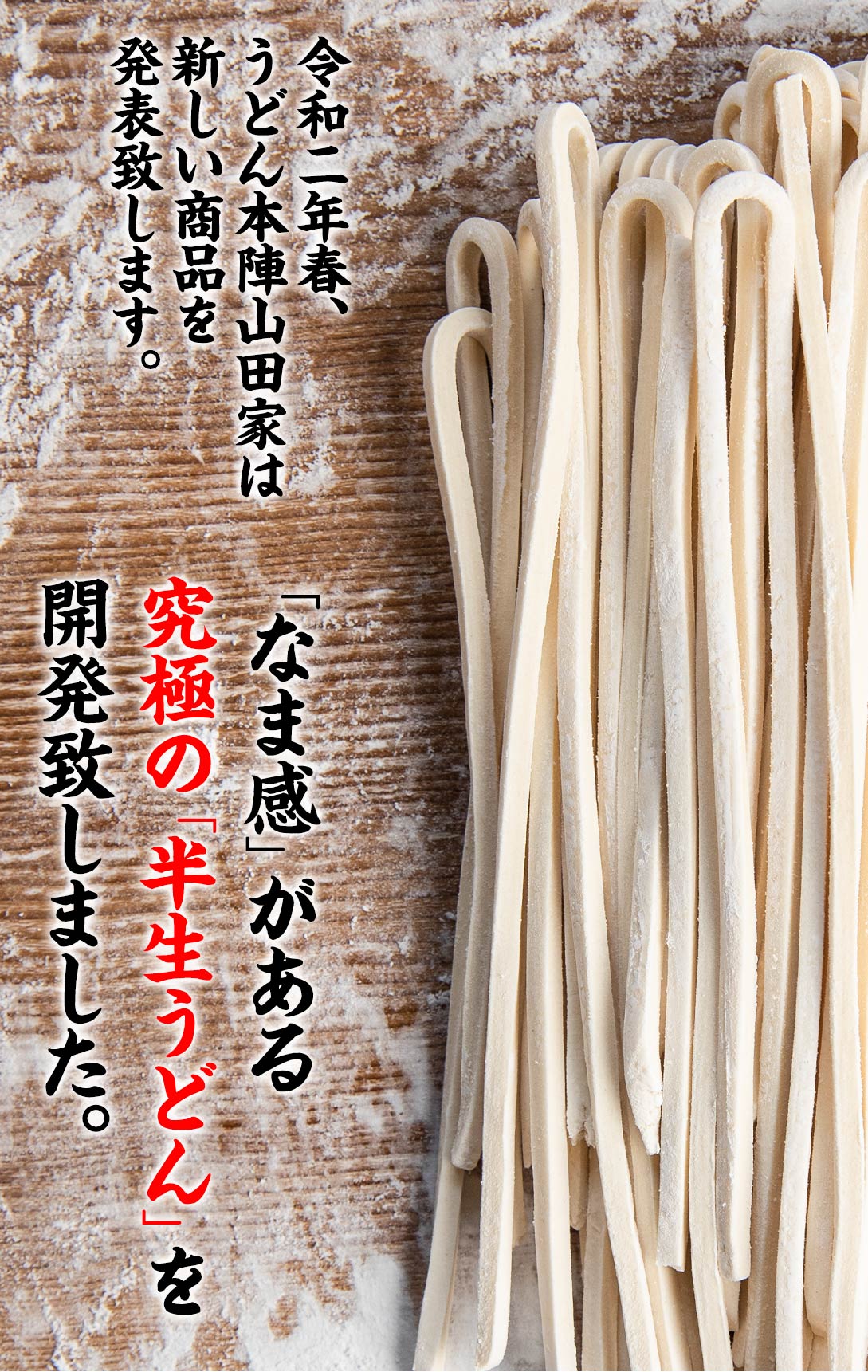 山田家の半生讃岐うどん