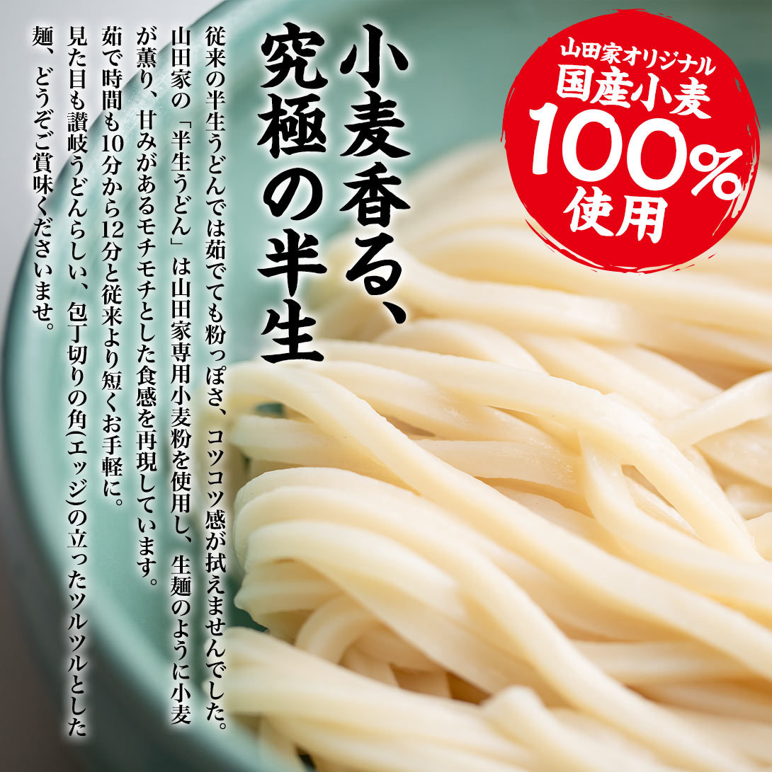 山田家の半生讃岐うどん