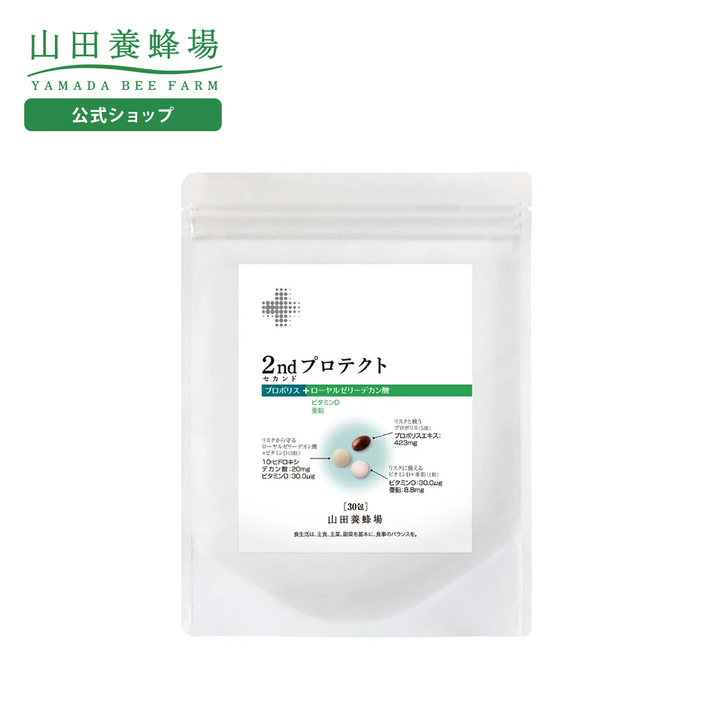 マジョール セルナージュコンク 1箱 90袋入 セルナージュコンク 90袋1箱分
