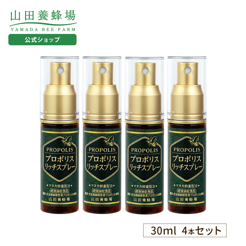 Rc{I v|Xb`Xv[ 30ml 4{Zbg ݂͂ NHi Tv  hV̓
