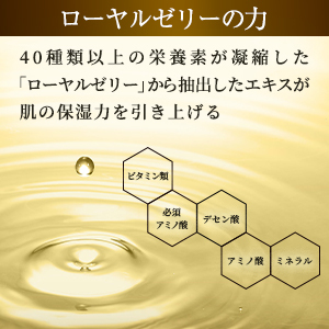 山田養蜂場 RJローション S しっとり(乾性肌) 化粧水 120mL ローション