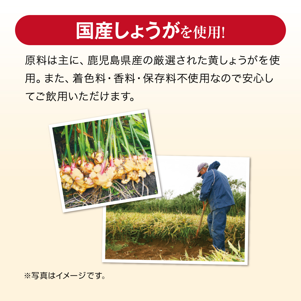 山田養蜂場 まるごと濃縮しょうが粒 60粒袋入 健康食品 サプリ お歳暮