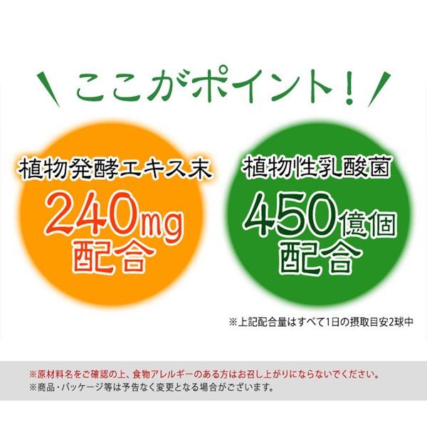 山田養蜂場 酵素×乳酸菌ダイエット 60球袋入 ギフト プレゼント 健康