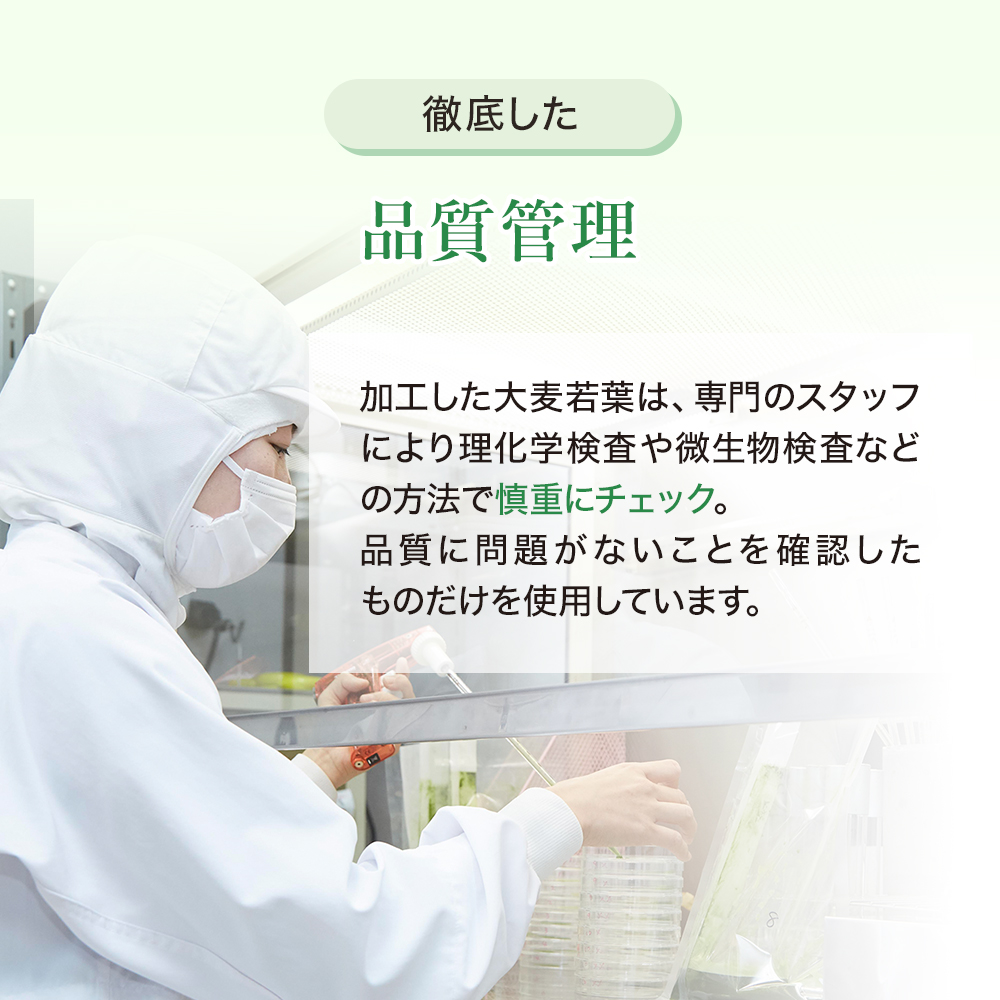 山田養蜂場 食物繊維たっぷりの健康美容青汁 (9.45g×30袋) ギフト