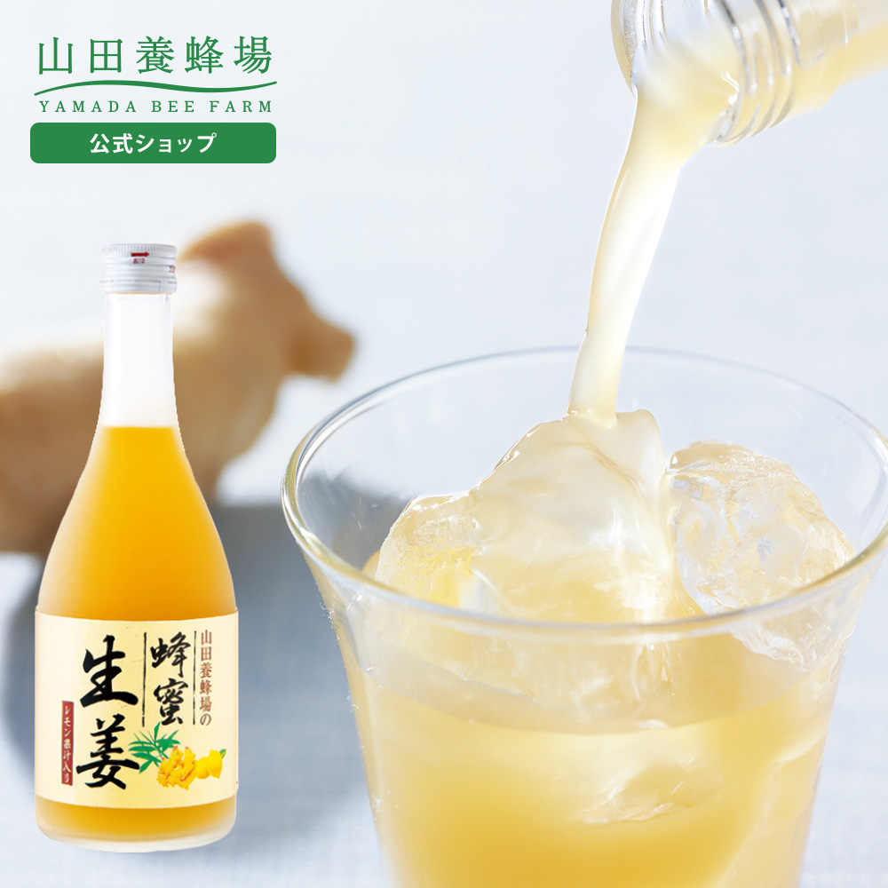 Rc{I IIhN(ʏ`) 500ml ݂͂ Mtg hV̓