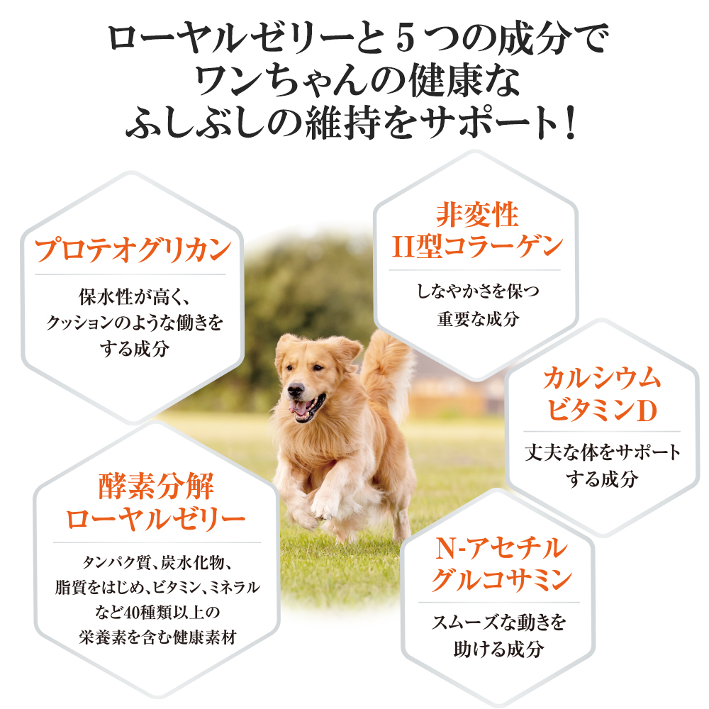 山田養蜂場 ワンちゃん用グルコサミン 60粒袋入 犬用 ペット