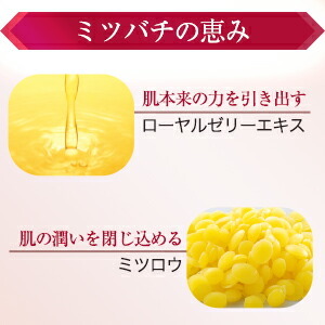 山田養蜂場 BEE MAKE パウダーファンデ セット ベージュ (専用ケース+