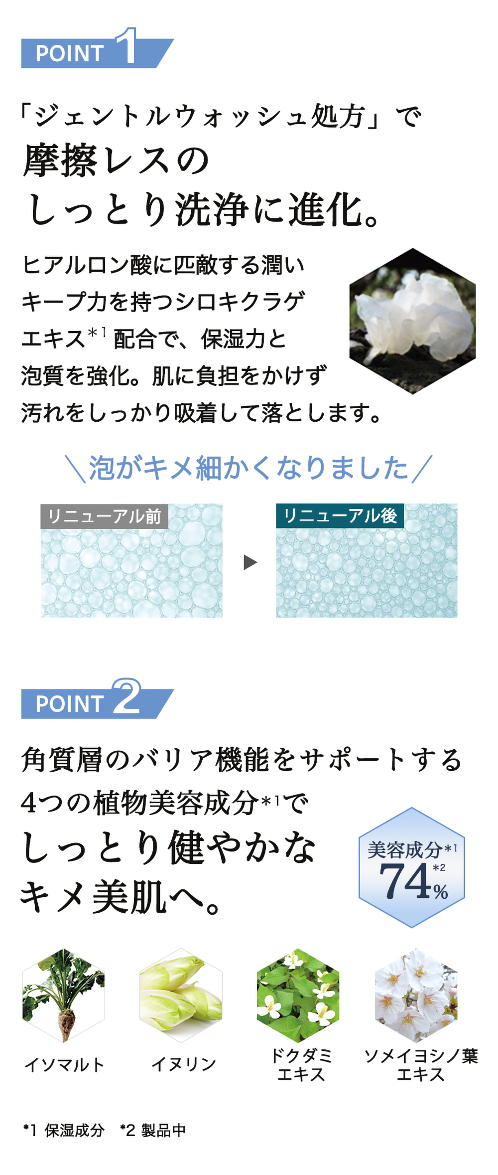 山田養蜂場 RJブーストクレンズ ウォッシングフォーム 洗顔料 洗顔