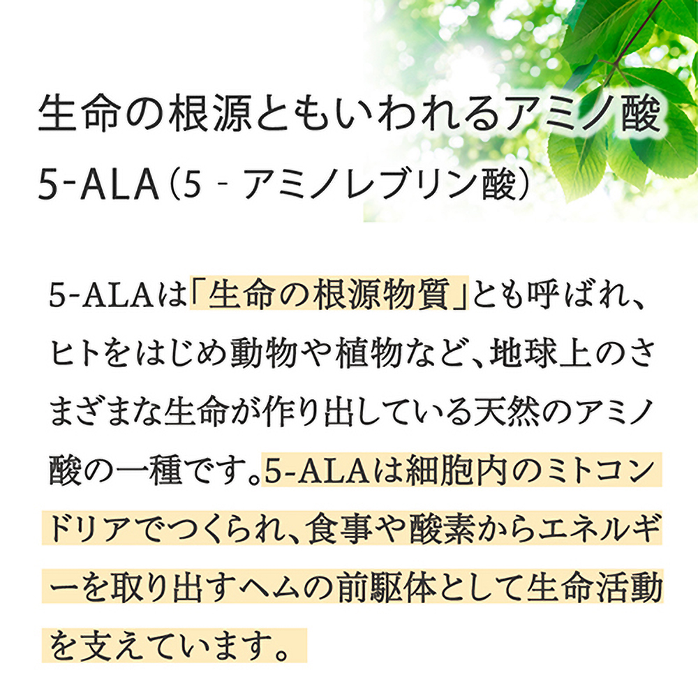 山田養蜂場 免疫分析研究センター 5-ALA（ファイブアラ）3袋セット