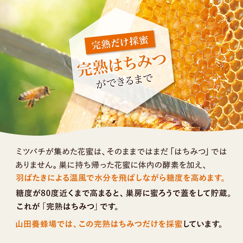 山田養蜂場 アカシア蜂蜜(ルーマニア産) 300gプラ容器 グリホサート