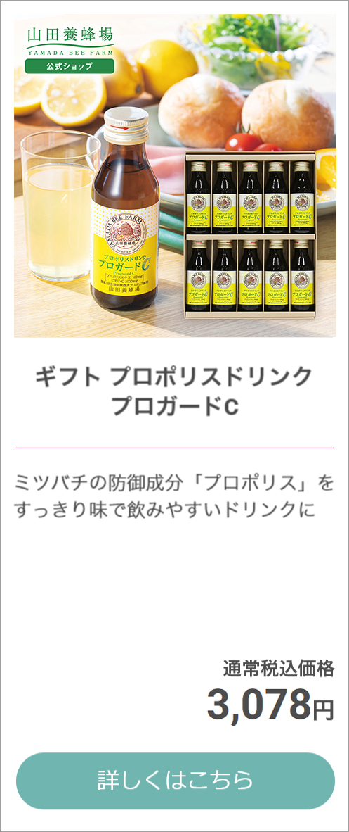 ドリンクギフト お中元特集