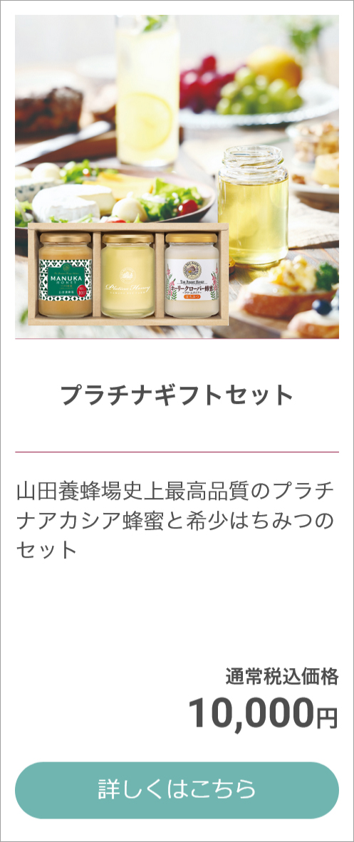 はちみつギフト お中元特集