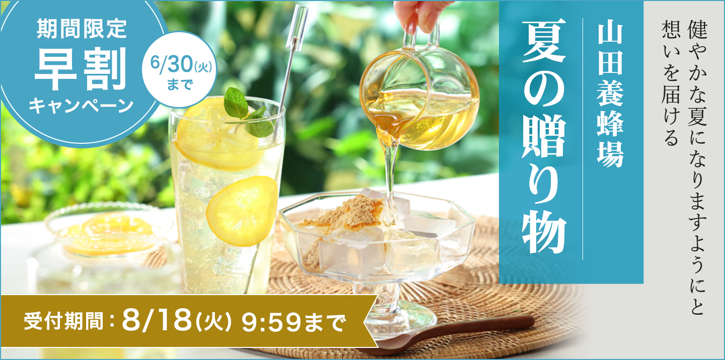 山田養蜂場 薬用 RJ地肌ケア シャンプー 医薬部外品 400ml ギフト