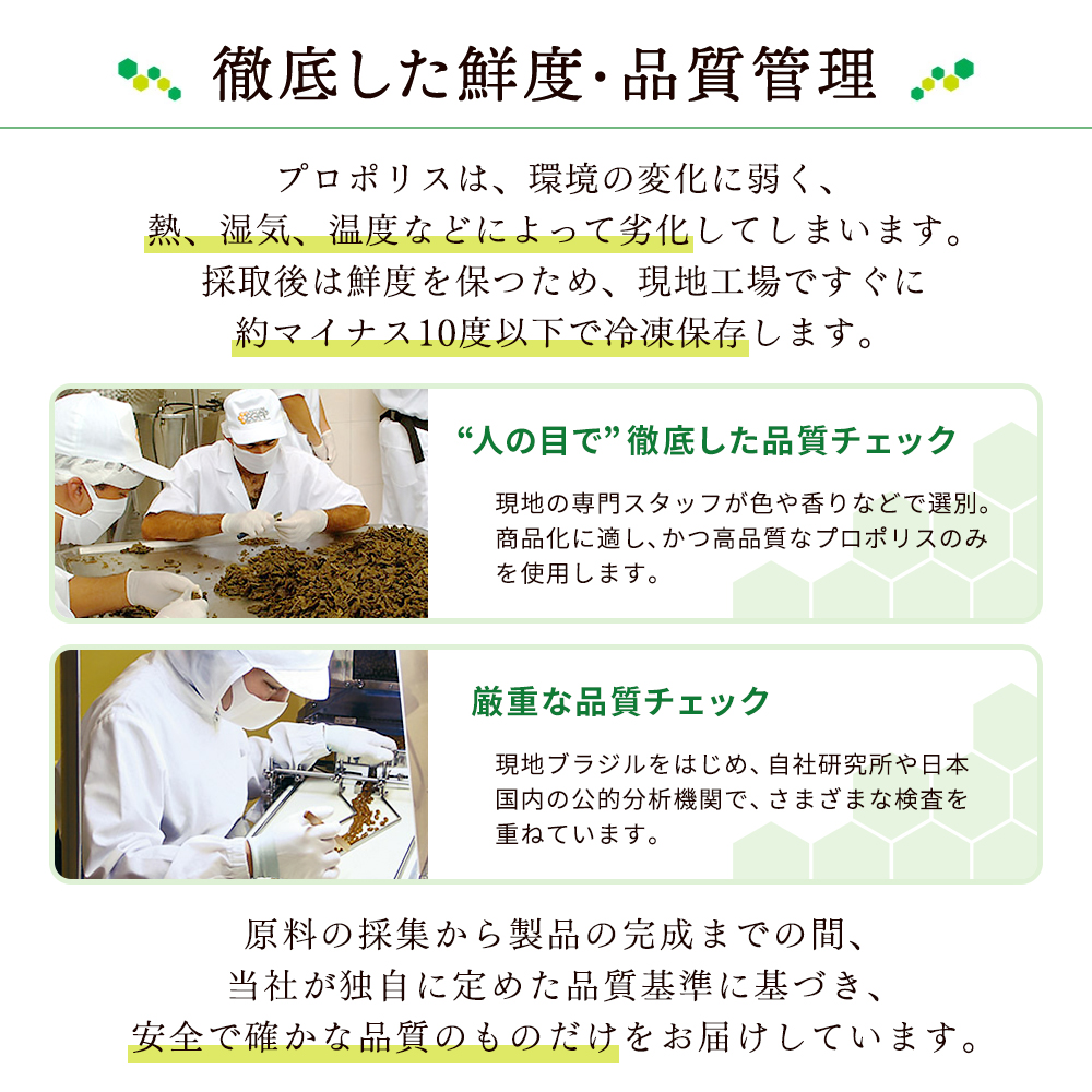 山田養蜂場 プロポリス　2袋セット 楽天市場】【山田養蜂場】プロポリス300 100球袋入 プロポリス