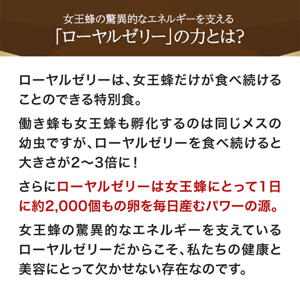 山田養蜂場 酵素分解ローヤルゼリー キング 100粒入 ギフト