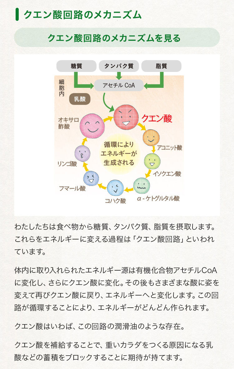 山田養蜂場 輪切りレモンはちみつ漬 420g はちみつ 果実漬け はちみつレモン スライス レモネード レモンスカッシュ シロップ ギフト プレゼント  お歳暮 : 26008 : 山田養蜂場 公式ショップ - 通販 - Yahoo!ショッピング