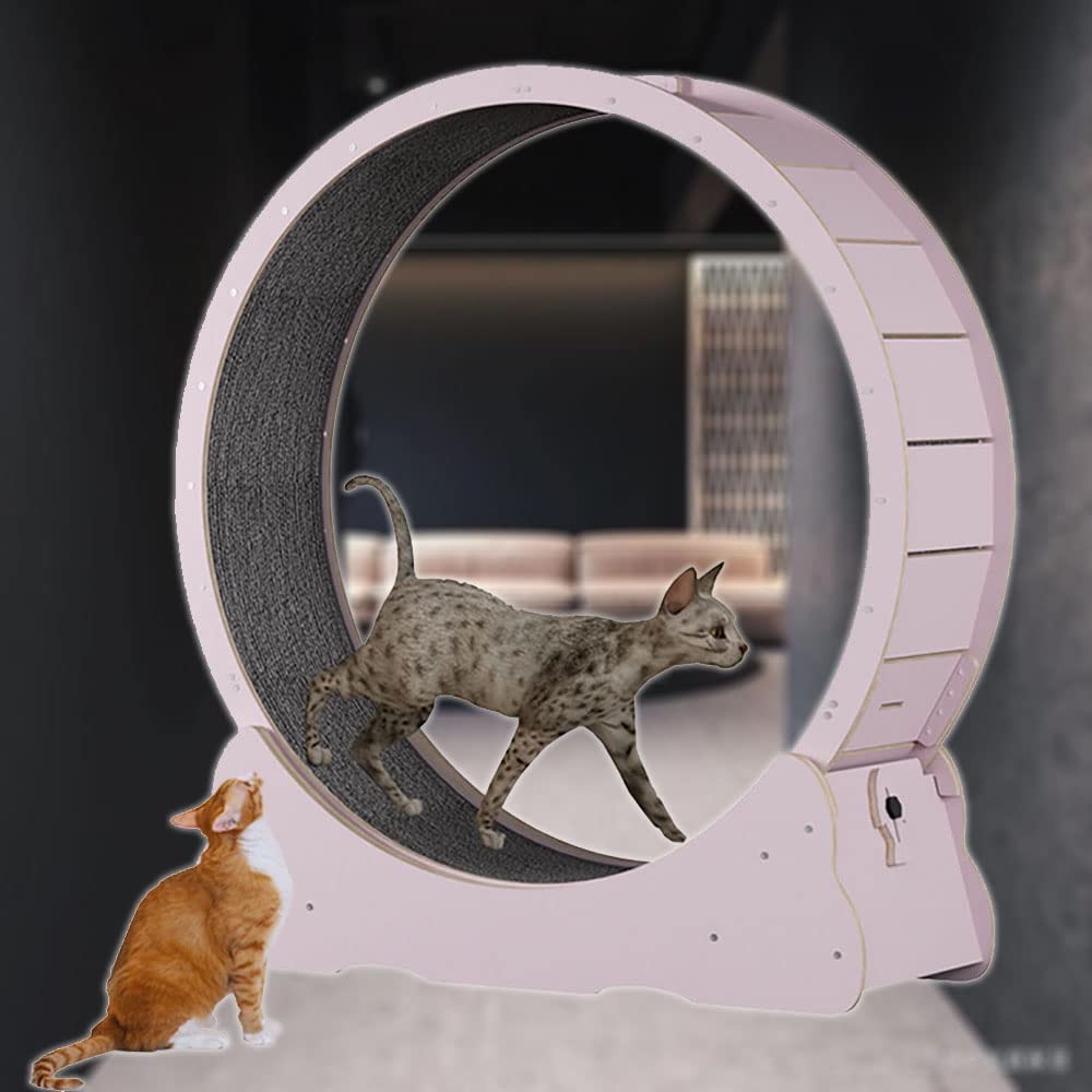 猫 キャットホイールの商品一覧 通販 - Yahoo!ショッピング