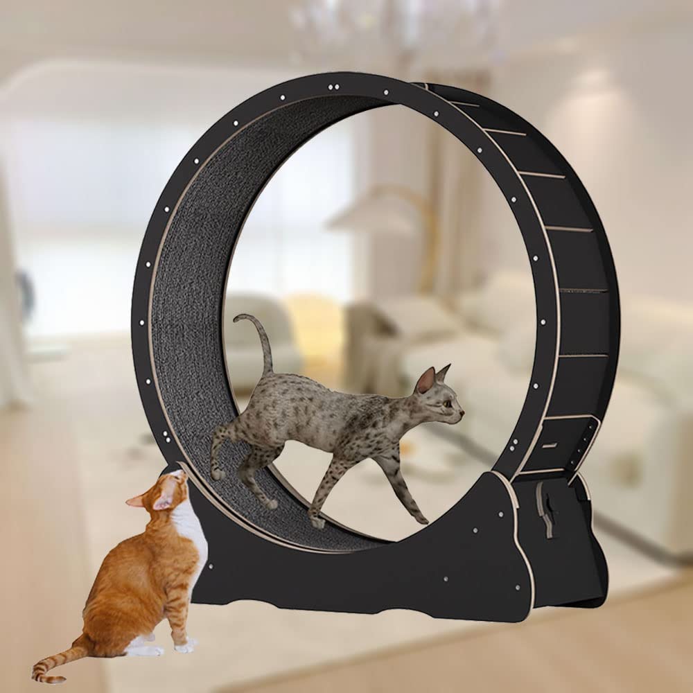 猫 キャットホイールの商品一覧 通販 - Yahoo!ショッピング