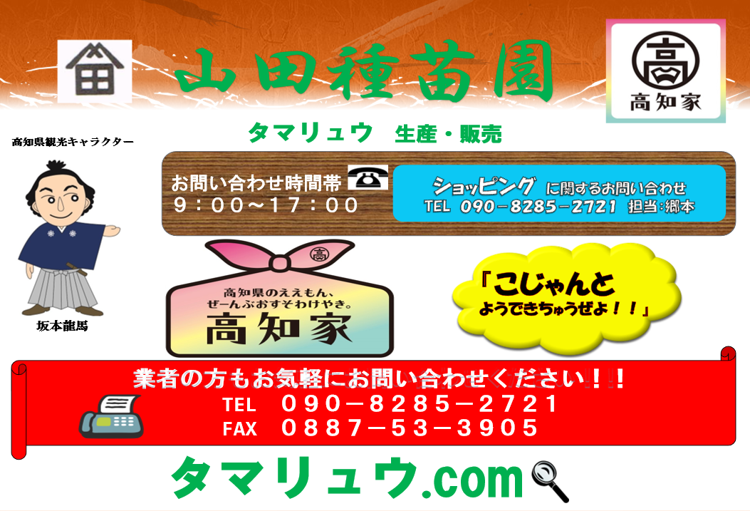 タマリュウ.com ヘッダー画像