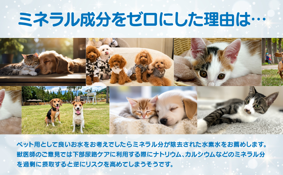【スイソDo！ジュニア110ml 60本+ペット用ウェットティッシュ付】水素水 新デザインSALE【ペット用ウェットティッシュ付】ペット用水素水