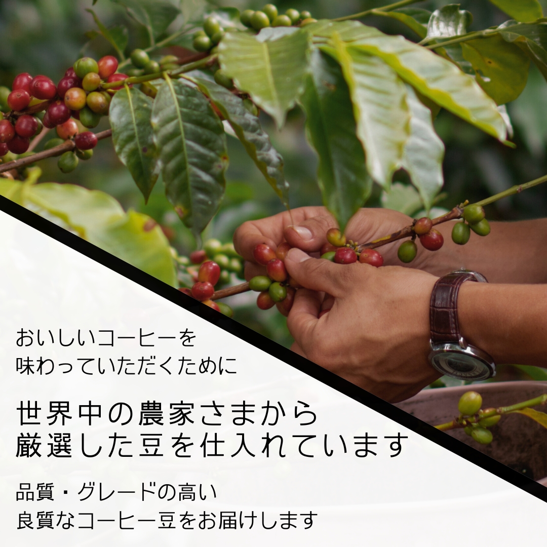 厳選したコーヒー豆
