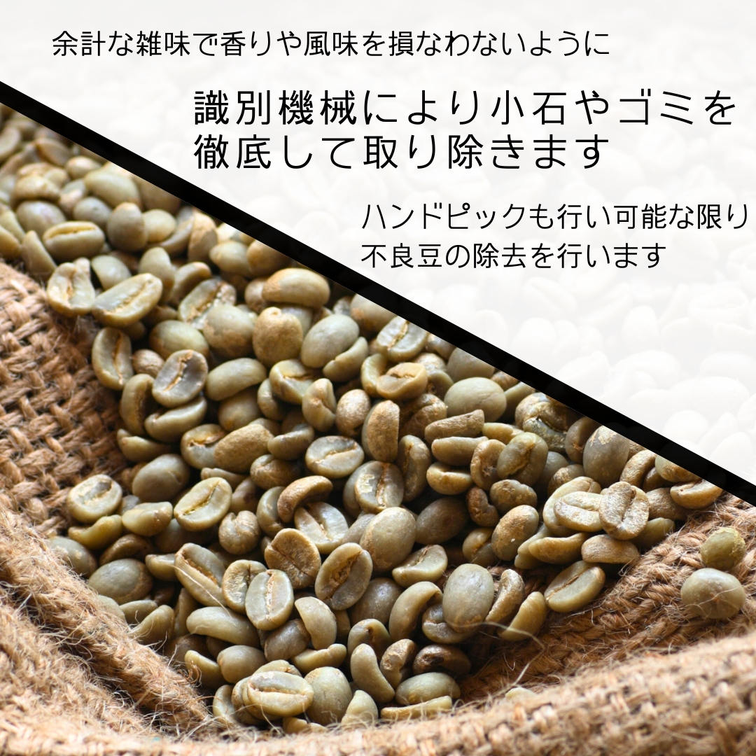 コーヒー豆の選別