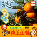 有田みかん 極上山賀