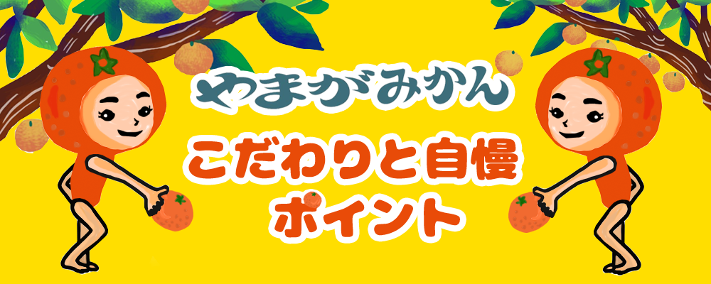 有田みかん 真っ赤な完熟山下紅みかん 10kg 化学肥料不使用 減