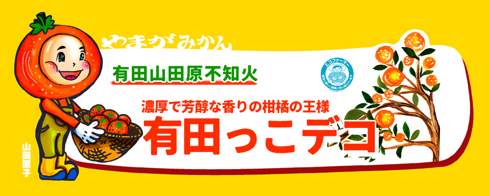 不知火（しらぬい） 有田っこデコ 5kg みかんで有名な和歌山有田産