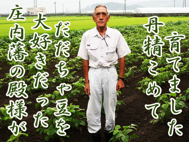 だだちゃ豆　だだ茶豆　枝豆