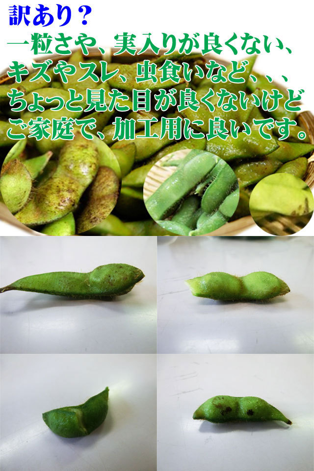 だだちゃ豆　だだ茶豆　枝豆