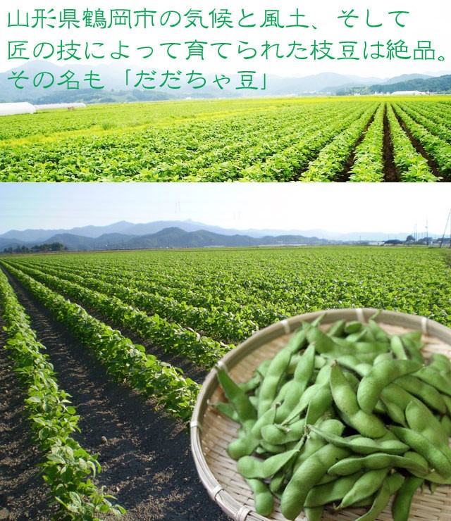 だだちゃ豆を山形県鶴岡市より産地直送 だだちゃ豆冷凍500ｇ白山山形県産朝採り有機肥料だだ茶豆枝豆えだまめ庄内鶴岡市ギフト贈答お歳暮お中元 代購幫