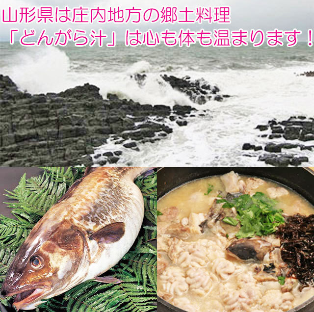 真鱈 オス 2 5kgから3kg丸ごと1尾 白子 山形県産天然 マダラ 寒ダラ 寒鱈 鍋 直営店 真ダラ