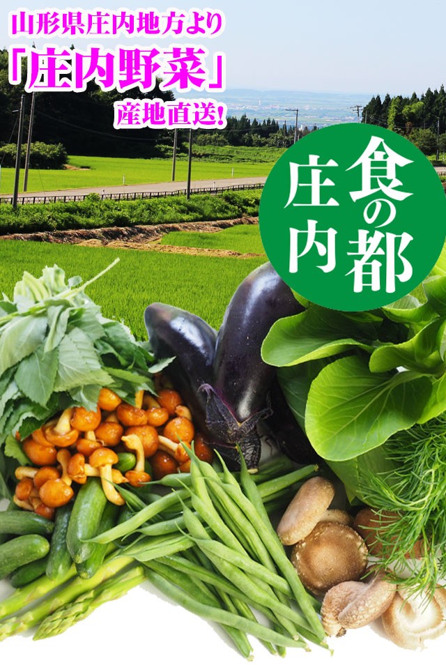 庄内野菜