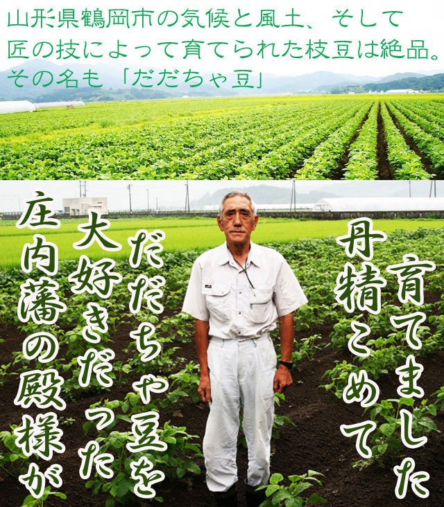 だだちゃ豆　だだ茶豆　枝豆