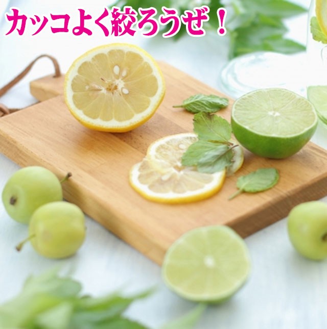 シトラス ジューサー