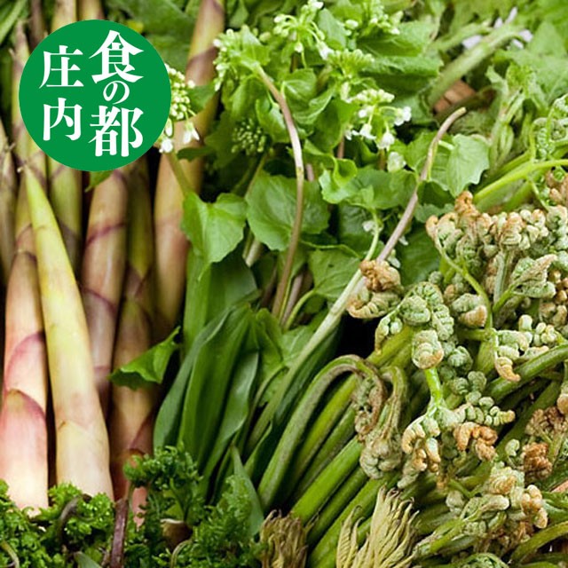 山菜