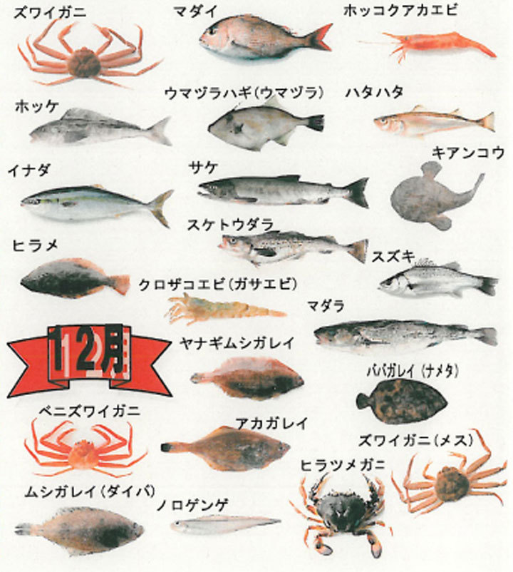 鮮魚セット