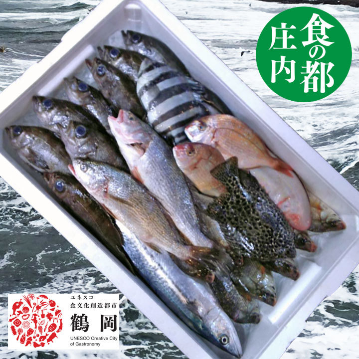 鮮魚セット