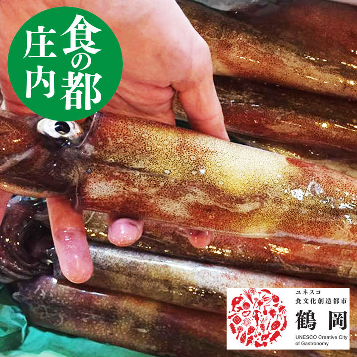 ヤリイカ 1ｋｇ4〜6杯 山形県庄内産 刺身 イカ 鮮魚 詰め合わせ 鮮魚セット 送料無料 食の都庄内 :tdk20:お食い初め鯛料理の店ザ・フレア  - 通販 - Yahoo!ショッピング