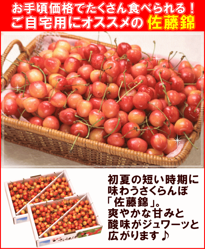 柔らかい さくらんぼ 訳あり 佐藤錦 ６月下旬頃から発送 山形県産 訳あり佐藤錦 １ｋｇ ３箱 バラ詰 送料込 注目ブランド Www Muslimaidusa Org