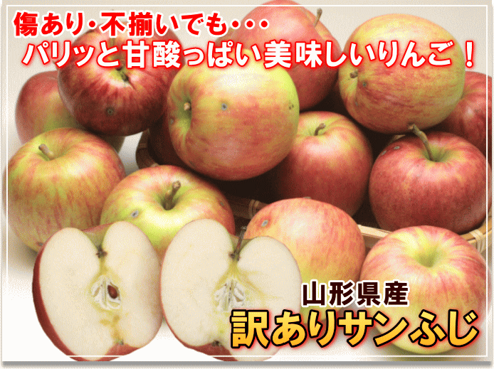 傷あり・不揃いでも・・・パリッと甘酸っぱい美味しいりんご！山形県産訳ありサンふじ