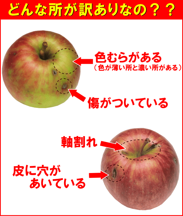 どんな所が訳ありなの？　◎色むらがある　◎傷がついている　◎軸割れ