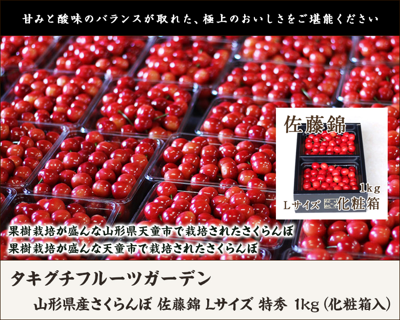 山形県産さくらんぼ 佐藤錦 Lサイズ 特秀 1kg（化粧箱入）（約